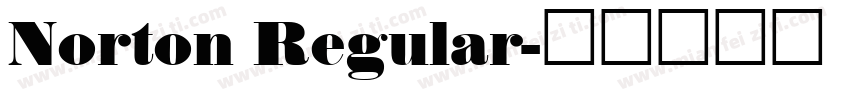 Norton Regular字体转换